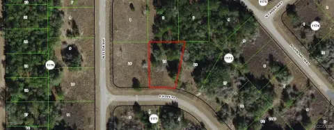 Residential Lot in Citrus Springs
