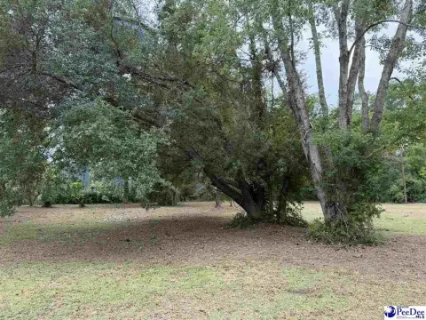 Vacant Lot in Town Limits
