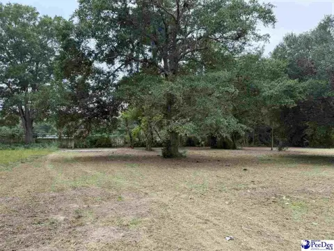 Vacant City Lot