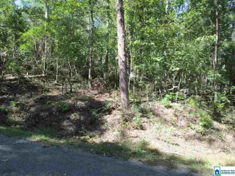 Residential Lot in Creekside Subdivision