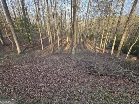 Ellijay, GA Land For Sale