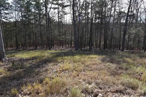 Waterfront Land Tract with Easement