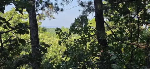 Homestead and Hunting Land