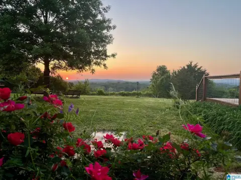 Equestrian Farm with Mountain Views