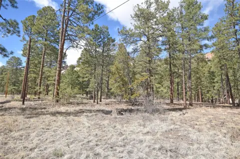 One Acre Jemez Springs Land