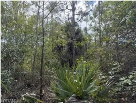 Golden Gate Estates Land Parcel