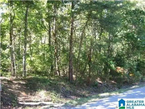 Residential Lot in Pinson, AL