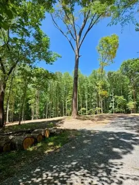 3-Acre Lot in Albemarle, NC
