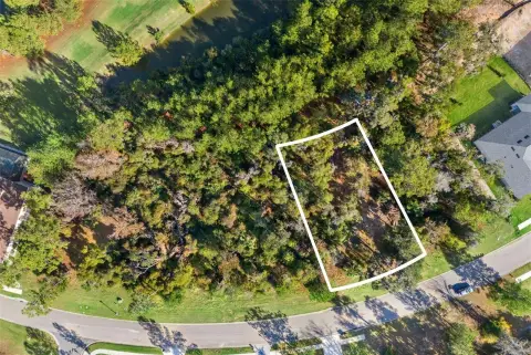 Buildable Elevated Residential Lot