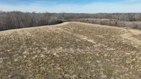 Agricultural Land in Hamersville, Ohio