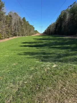 200 Acres of Timberland Investment