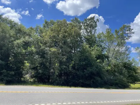 Residential Land in Waynesboro, GA
