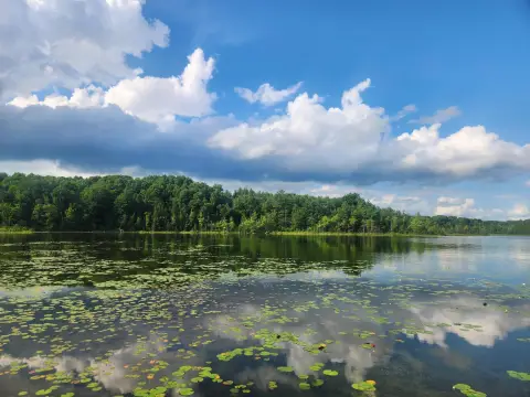 Wooded Waterfront Land Parcel