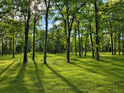 Deed-Restricted Residential Acreage