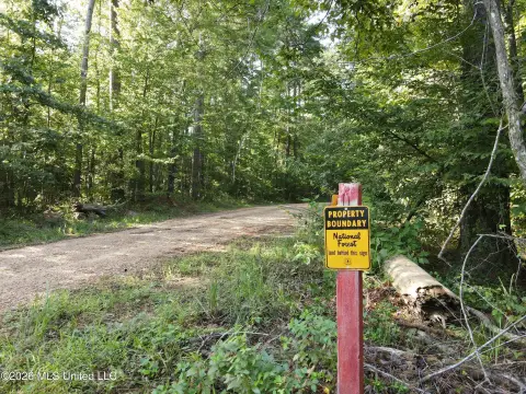 Hunting Land with National Forest Boundary