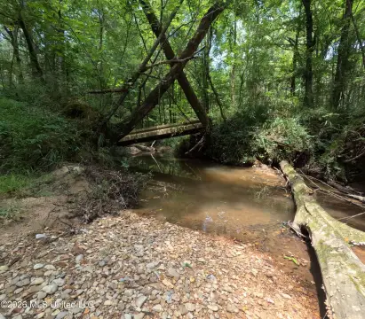 Hunting Land with Creek