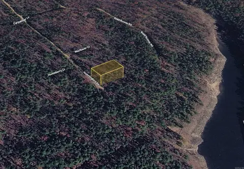 Wooded Residential Lot with Road Frontage
