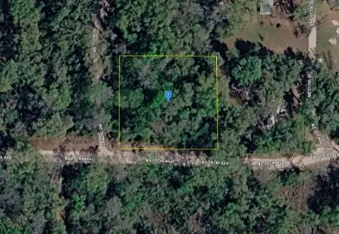 Vacant Land in Dixie County