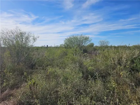 Alice, TX 0.99-Acre Lot