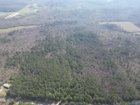 Recreational Timberland Tract