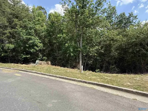 Residential Lot in Ridgefield Estates