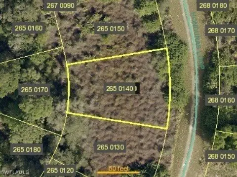 Residential Lot in Lehigh Acres