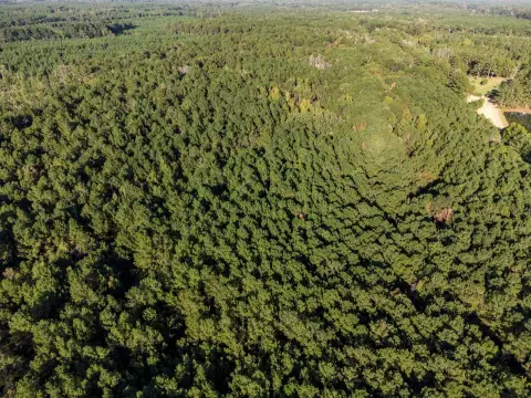 68 Acres of Wooded Land