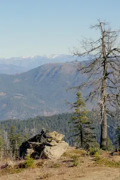 Timber Hunting Land