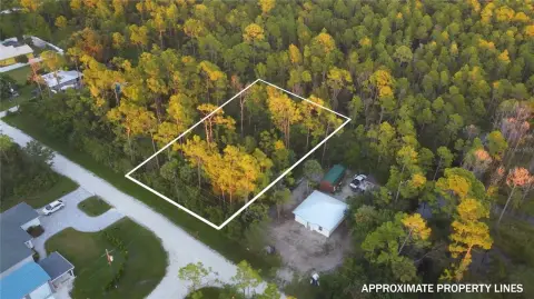 Punta Gorda Land Opportunity