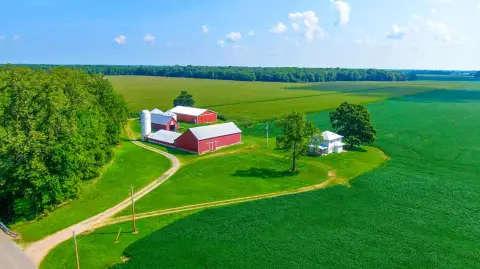 Productive Farmland in Logan County