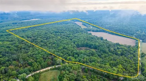 Wooded Hunting Land with Cabin