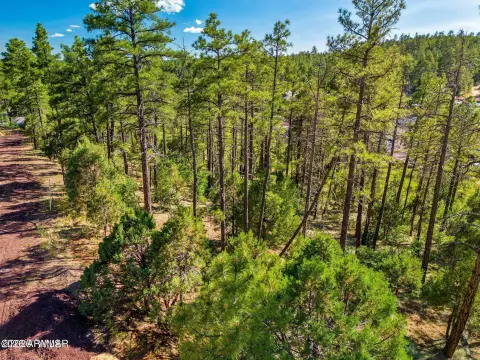 Land in Show Low, Arizona