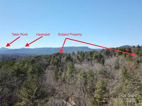 Unrestricted Land Near Wilson Creek