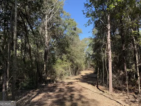 Land in Houston County, AL