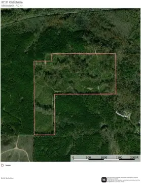 Timber Hunting and Recreation Tract