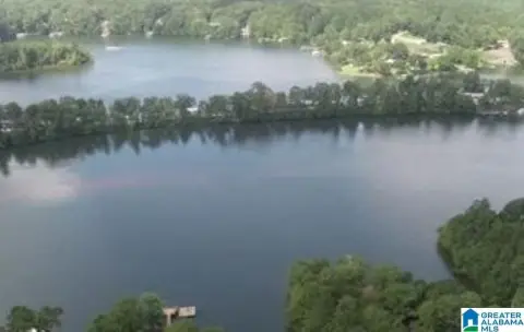 Waterfront Lot on Lake Wedowee