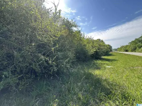 Wooded Acreage in Lawley, Alabama