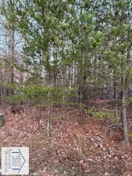 Danville, VA Land Opportunity