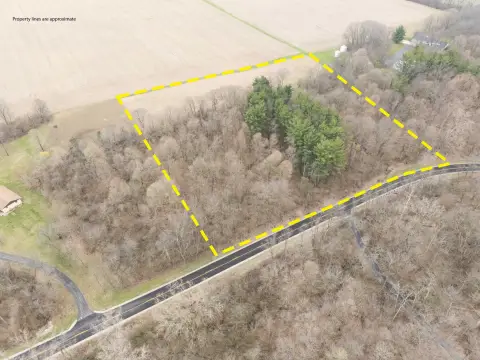 Wooded Hunting and Buildable Land