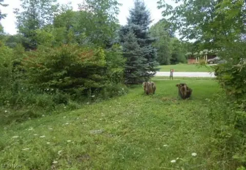 Strongsville Homesite with Creek View
