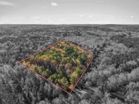 Heavily Wooded Pittsburg Acreage