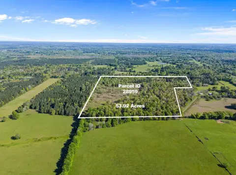 Long Branch Acreage with Pond