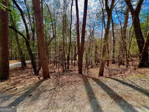 Residential Lot in Gated Community