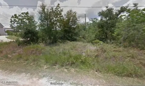 Wooded Corner Lot Opportunity
