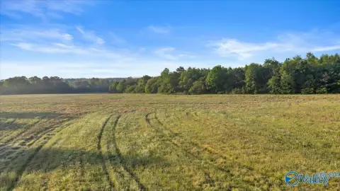 20 Acres on Highway 71