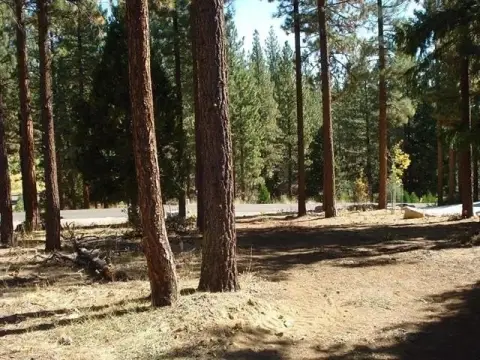 Residential Land Lot with Creek Backing