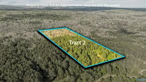 Unrestricted Land in Mentone, AL