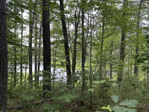 Waterfront Land in Shapleigh, Maine
