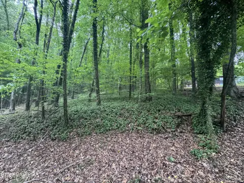 Residential Lot in Halls Community