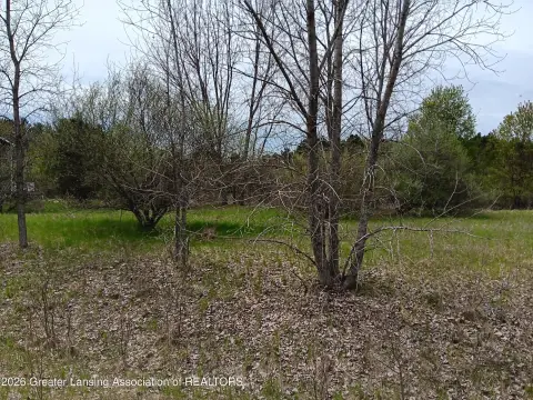 Secluded Land in Owosso, MI